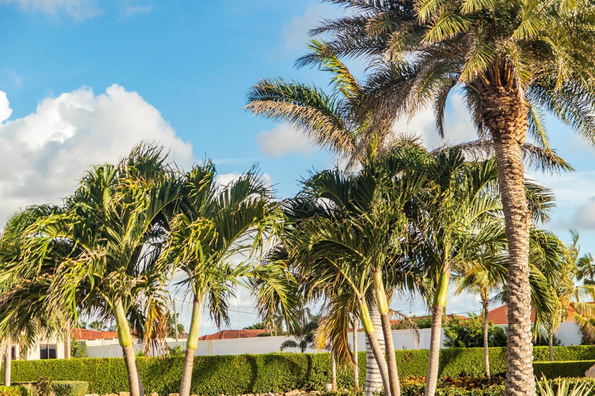 Bocobay Gold Coast Resort Palm Beach Exterior foto